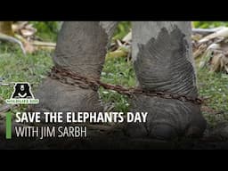 Wildlife SOS celebrates Save the Elephant Day with Jim Sarbh.