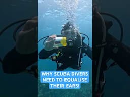 Why Scuba Divers Need to Equalise Their Ears