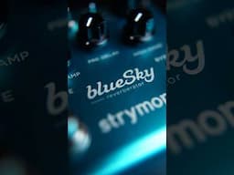The Strymon BlueSky Reverb Pedal