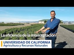 La eficiencia de la interceptación