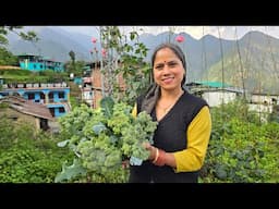 किचन गार्डन से निकाली ढ़ेर सारी ऑर्गेनिक सब्जियाँ🥦 || Pahadi Lifestyle Vlog || Priyanka Yogi Tiwari |
