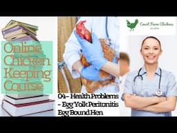 Egg Yolk Peritonitis, Egg Bound Hen, Lethargic Chicken - Health Problems - Chicken Keeping Course 4