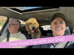 Why can't we take our dog on cruise ships?