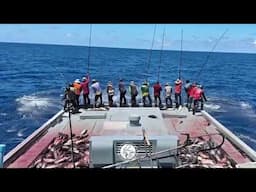 FISHING | SKIPJACK TUNA | MALDIVES