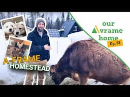 Homesteading at the A-Frame - Episode 33 | Our Avrame Home