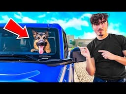 My dog got a NEW CAR