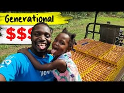 Make your Children Rich with a Farm