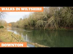 WALKS IN WILTSHIRE AT DOWNTON & CHARLTON ALL SAINTS (4K)