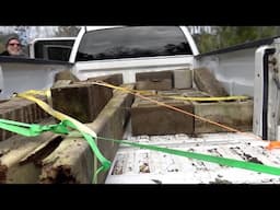 Tearing down a bee yard and so much more! The bee season begins.
