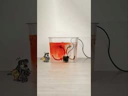 I Used My Pet’s Water Pump to Explain How Ovens Work