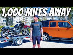 I Took My Rebel to Bike Week & THIS Happened on Day 2!