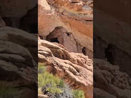 The Flower of Life Cliff Village