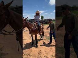 Have you ridden a mule? Would you buy one from Clay? Would you trust Dale? So many questions…