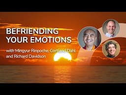 Befriending Your Emotions: A Guide to Self-Discovery