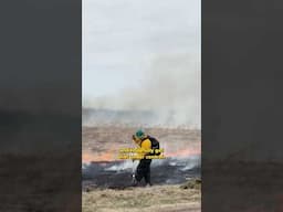 Creating Grassland Bird Habitat with Prescribed Fire