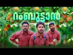 റംബുട്ടാൻ |Short Sketch|