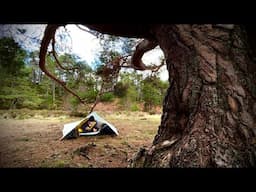 Solo Winter Hike Cairngorms: Minimalist Tarp Camp & Scottish Breakfast