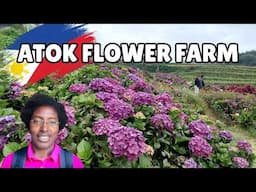 Northern Blossom Flower Farm | Must-Visit Garden in Atok, Benguet 🌸