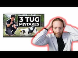 Can Tug Play Be Dangerous? Veterinarian Reacts to Hamilton Dog Training