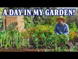 Garden With Me As I Plant My Spring Garden!