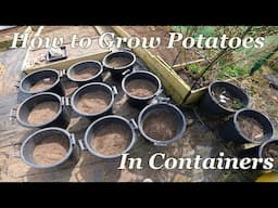 How to Grow Potatoes in Containers