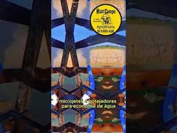 Chegaram novidades na Nutri Campo Agropecuária! #altoparaíso