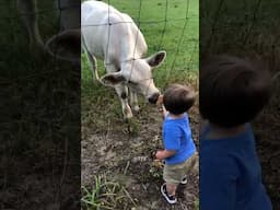 Big fails 😅🤣😂 #fails #funny #comedy #viralvideo #shorts