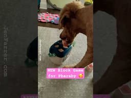 Watch Pharaby play her new Block game - Fisher-Price Shape Sorter Challenge