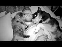 What Do All My DOGS and CATS Do While I Sleep At Night!