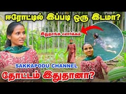 வீட்டைவிட்டு வெளியே வந்தா எல்லா காய்கறிகளும் இருக்கும் | Sakkapodu Channel Punitha Farm vist