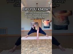 Yoga spinal twists can work wonders! Great for digestion, stomach pain, and abdominal cramps🙏 #yoga