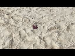 Boracay 02/19/23