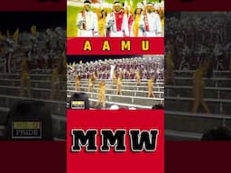 #StandStormSaturday with AAMU Marching Maroon & White performing “Fantasy” by @alinabarazvevo2263