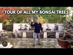 Showing My Bonsai Collection | Spring 2025 Update