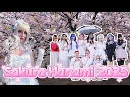 HUGE Jfashion Cherry blossom picnic in Tokyo 🇯🇵🌸