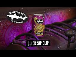 Dogfish Head Quick Sip Clip: Tropical Squall