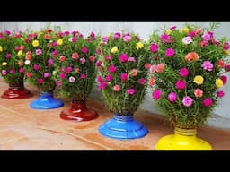 How to Grow Flowers in Plastic Bottles A Fun and Economical Solution