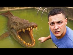 I Found an Abandoned Pond Monster..