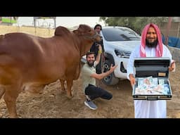 Sheikh sahab ka barey janwar per dil agaya 🐂 Pura bag ley aae paison ka 💰