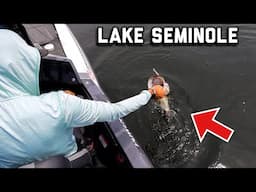 Lake Seminole has the GIANTS!! (Toyota Series Practice)