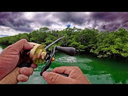This IS a BARRA Video!