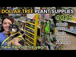 BEST Dollar Tree PLANT FINDS 2025! NEW DOLLAR TREE FINDS! Plant Supplies