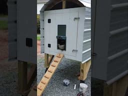 Oregon Trails Chicken Coop! #coop #chickencoop #diy #chickenwagon #homestead #farm