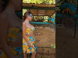 Twinning with Mr. Parrot 😍🦜