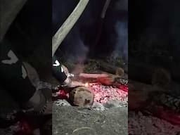 Meat on a schtick#outdoorcooking #campfire #campfirecooking