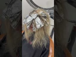 Highlights/Lowlights for dimension #hairstyle #hairtok #blonde #balayage #highlights #livedinhair