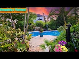 Planting Tons of Tropicals and Annuals With Some Plant Shopping