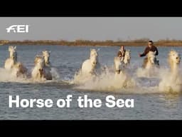 Prepare to be captivated by the Camargues! 👀🦄 | RIDE presented by Longines