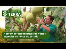 Homem coleciona frutas de várias espécies no norte do estado | Negócios da Terra (05/06/2025)