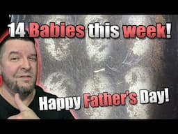 BABIES this week! Happy Father's Day!